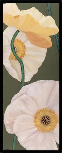 Weisser mohn 1 —  Schaadt