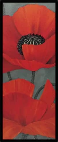 Roter mohn 1 —  Schaadt