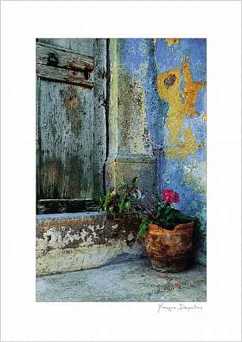 Geranium pot —  Depollas