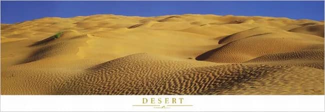 Desert —  Leroux