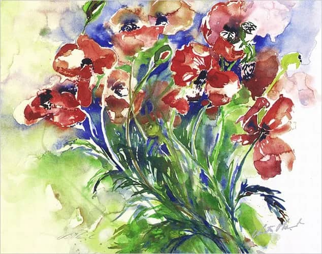 Mohn —  Ohland