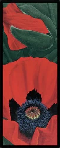 Roter mohn 2 —  Schaadt