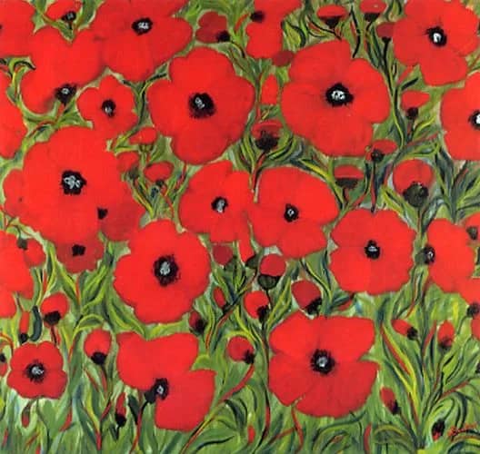 Klatschmohn      2hp —  Boecker