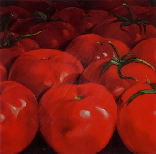Tomatoes —  Sommer