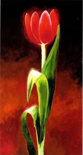 Rote tulpe     2hp —  Kirchner