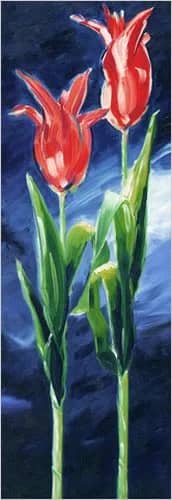 Tulpen —  Kirchner