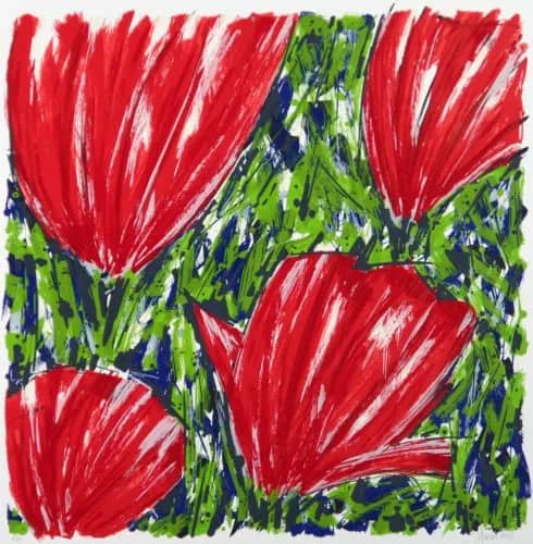 Tulpen rood — Ad van Hassel