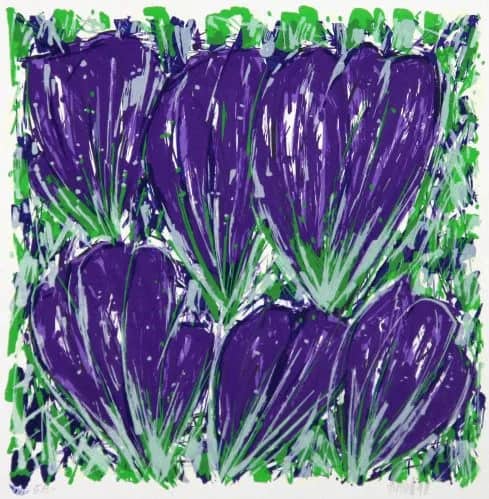 Tulpen paars — Ad van Hassel