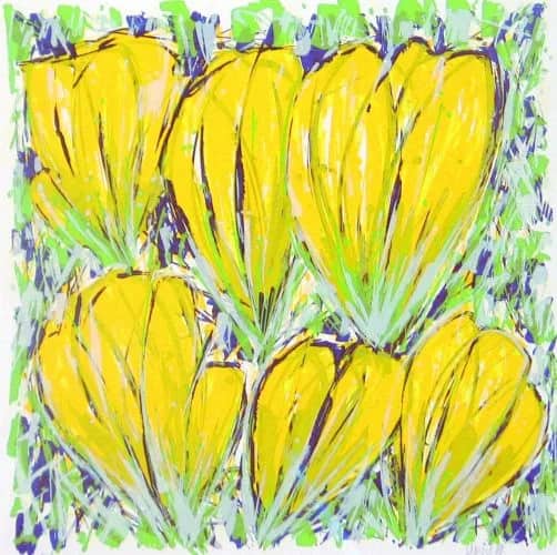 Tulpen geel — Ad van Hassel