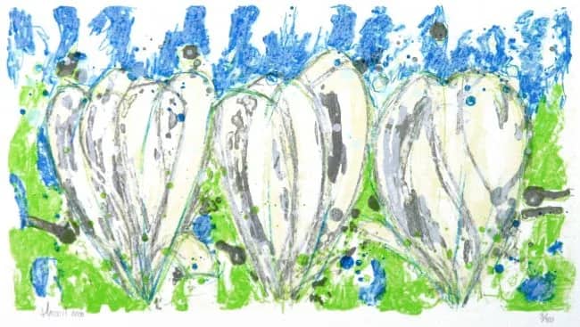 Krokussen wit /50 — Ad van Hassel