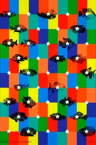 Verdronken firnament — Marianne Schuit