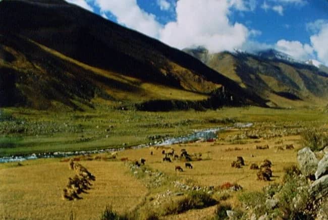 D2-4 Tibet — Tini Doornewaard