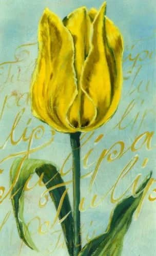 Tulip Romance I   2 HP —  Kirchner