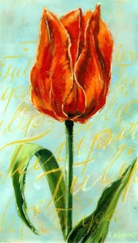 Tulip Romance II   2 HP —  Kirchner