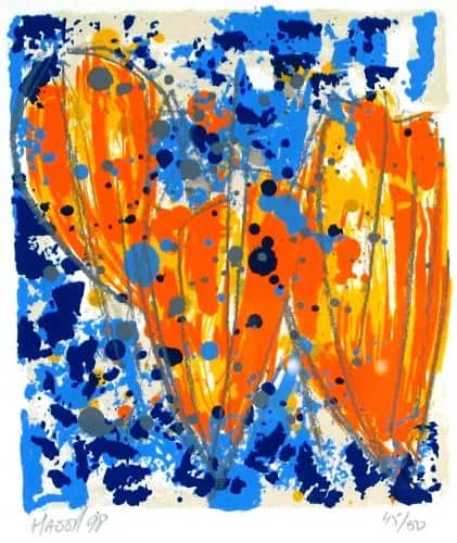 Tulpen oranje — Ad van Hassel