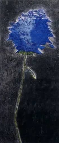 Dedicata I —  Barovero