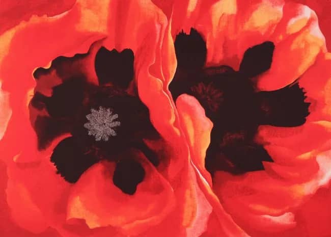 Oriental poppies, 1928 —  Georgia O"keeffe