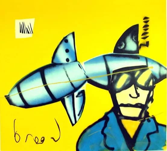 Cowboy met vliegtuig — Herman Brood