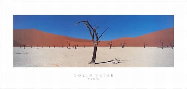 Deadvlei —  Prior