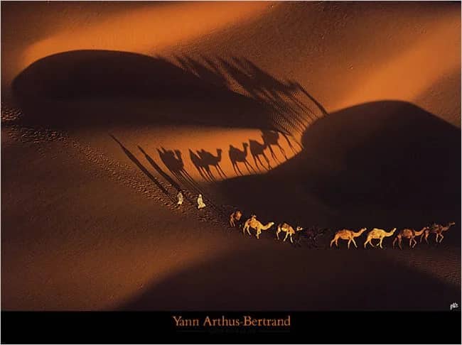 Dromedary Nouakchott — Yann Arthus-Bertrand
