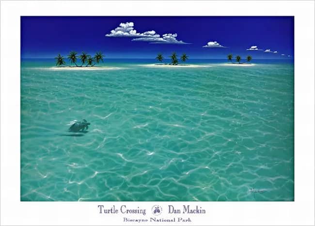 Turtle Crossing —  Mackin