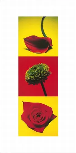 Flowers II —  Descottes