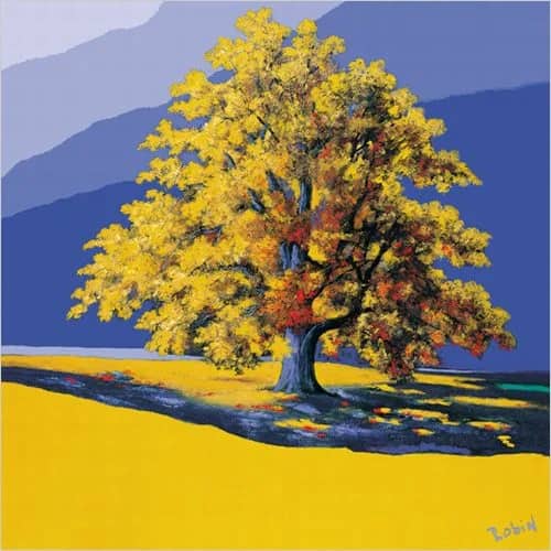 Der goldenen Baum —  Robin