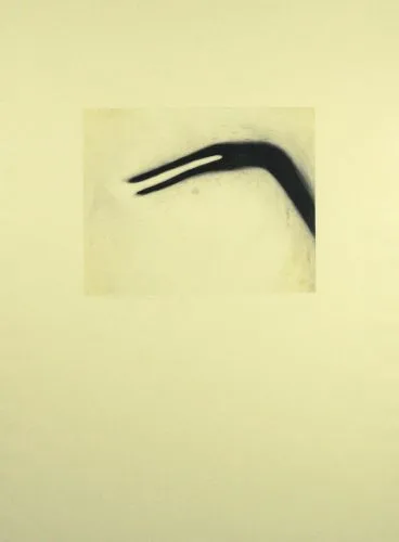 Shadow — Madeleine Leddy