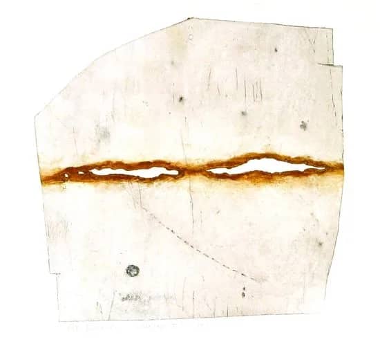 Wave I — Madeleine Leddy