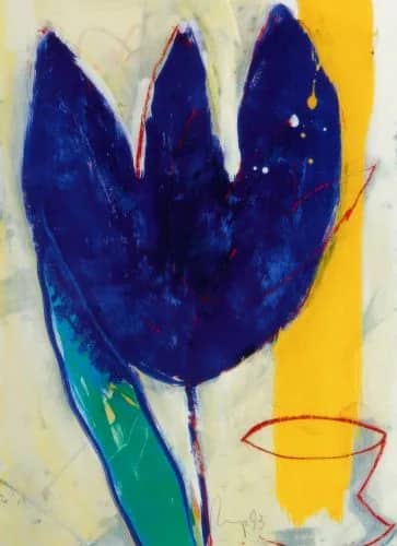 Tulips —  Meijer