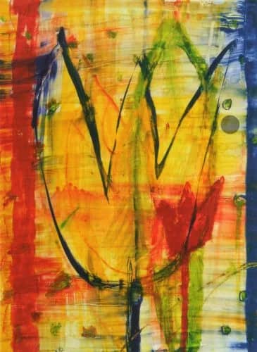 Tulips —  Meijer