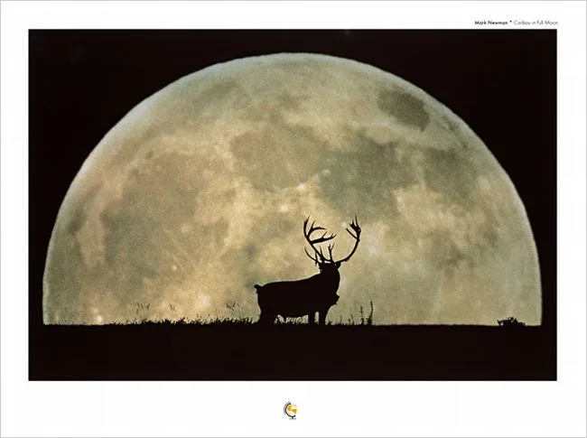 Caribou in Full Moon — Barnett Newman