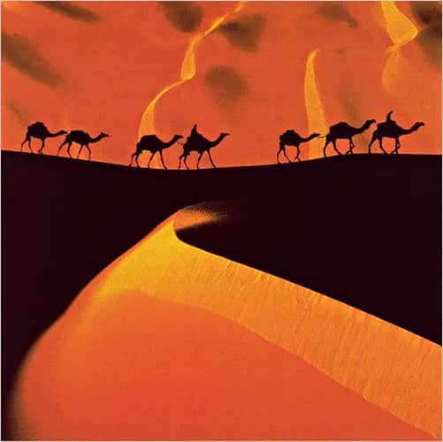 Dans les dunes —  Martin