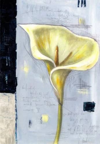 Calla    2HP —  V. Mond