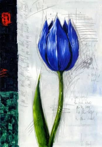 Blue Tulip    2HP —  V. Mond