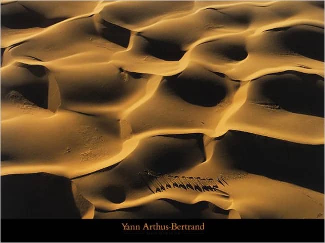 Dromedary in the Dunes — Yann Arthus-Bertrand