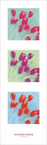 Flower Power II —  Lens & Lens