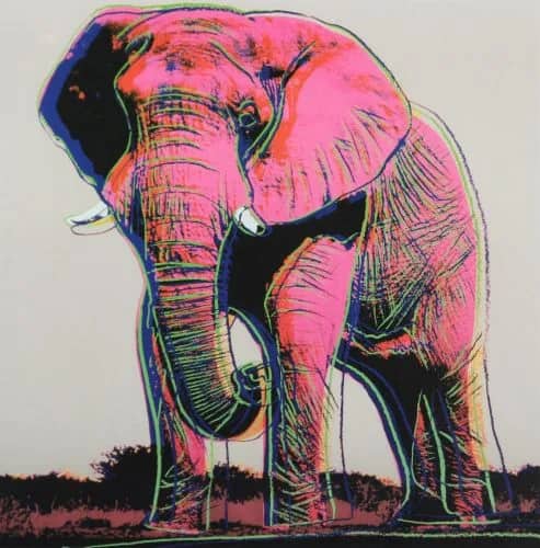 African elephant — Andy Warhol