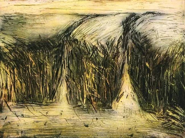 Soft Rustle - e.a. — Ursula Neubauer