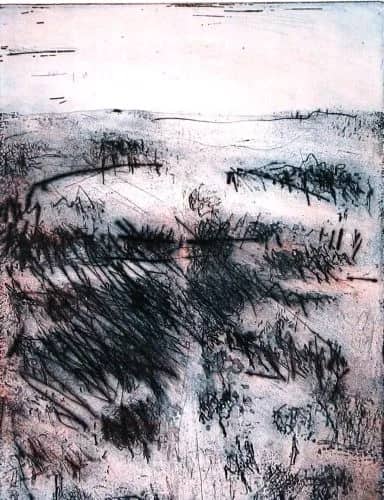 Lichtung e.a. — Ursula Neubauer