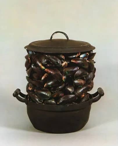 Casserole and closed mussels —  M. Broodthaers