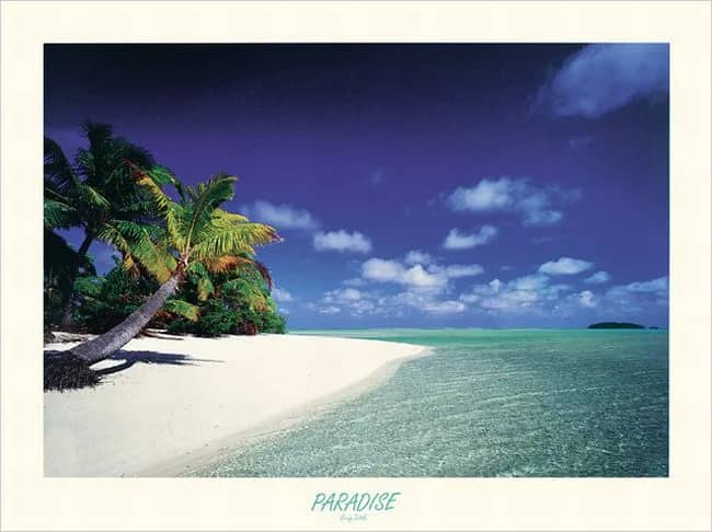Paradise —  Tuttle