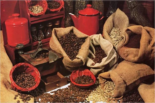Coffee —  C. Nokolson
