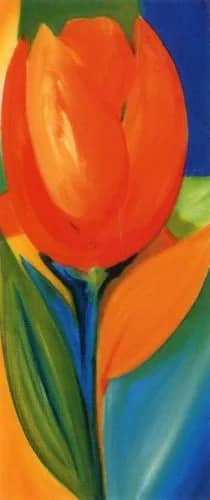 Tulp IV —  Gockel