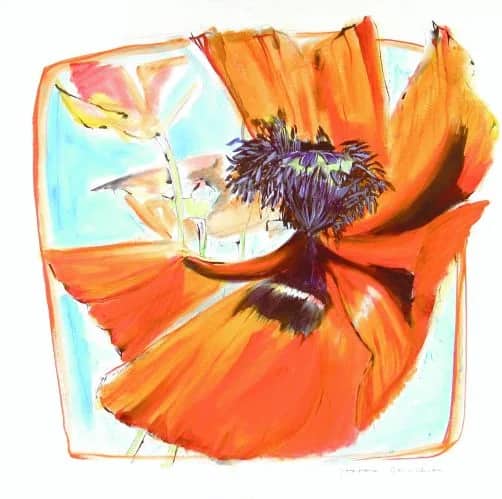 Papaver VI — Jeroen Dercksen