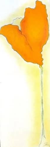 Fleur Orange —  Doucet