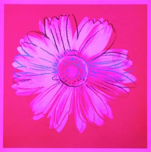Daisy, c.1982 (crimson and pink) — Andy Warhol