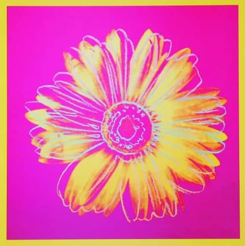 Daisy, c.1982 (fuchsia and yellow) — Andy Warhol
