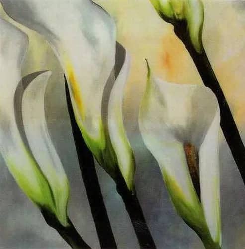 Calla Lily I —  Siolek
