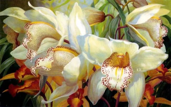 Orchid Fandango  2HP —  Horning